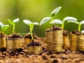 違規(guī)“輸血”地方平臺(tái) 年內(nèi)5家金租公司被罰300多萬(wàn)元